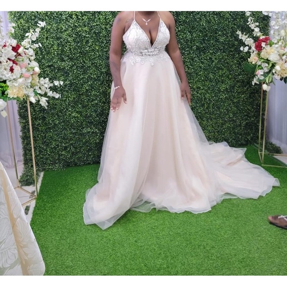 Citrus & Ginger body wash body - Picture 2 of 2